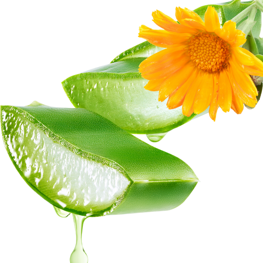 "Nourish your skin with the goodness of Aloe Vera and Calendula."