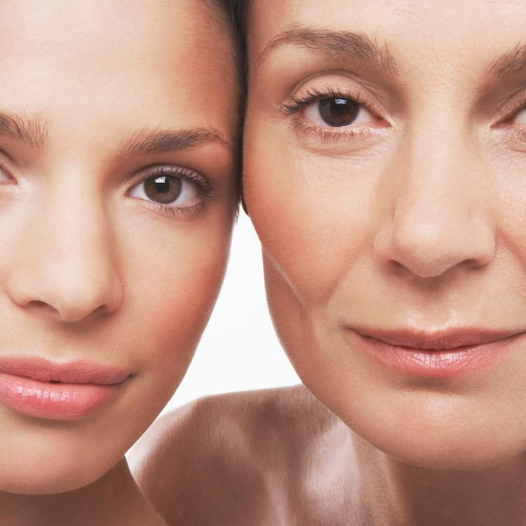 Fragrance Free Base Products