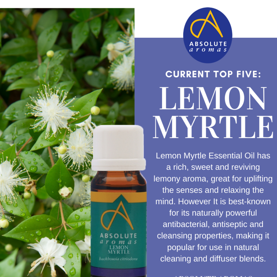 Myrtle, Lemon (Wild crafted) Morocco