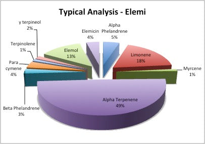 Elemi Canarium Commune