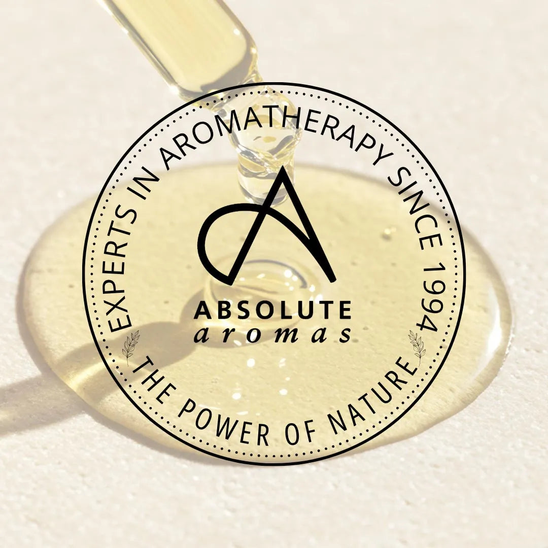 Hanging Ceramic Diffuser