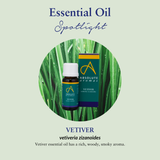 Vetiver (Haiti)