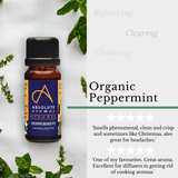 Organic Peppermint (England)