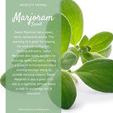 Marjoram, Sweet (Egypt)